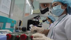 Khánh Hòa chi hơn 47 tỷ đồng đãi ngộ 288 bác sĩ về tỉnh làm việc