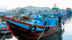 Đảo Trí Nguyên (TP Nha Trang), nơi đã được ứng dụng thả muỗi mang tác nhân sinh học Wolbachia. 