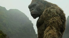 Kong là tác phẩm của Hollywood với nhiều cảnh được quay ở Việt Nam.
