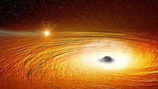 Ngôi sao ở khoảng cách gần hố đen tử thần nhất mới được phát hiện có thể là sao lùn trắng. Ảnh: NASA.