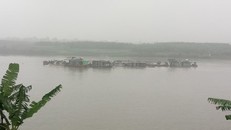 Các tàu thuyền khai thác cát của Cty TNHH My Hương.