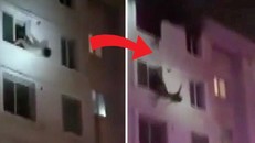 Hai phụ nữ bị rơi khỏi cửa sổ tầng 6 tòa nhà cao tầng may mắn thoát chết nhờ được lính cứu hỏa giữ lại. Ảnh chụp màn hình.