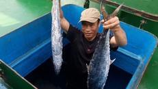 Chủ tàu vui mừng khi trúng mẻ cá lớn. 