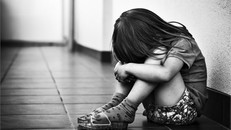 Viên đá Roswell được cho là mảnh vỡ phi thuyền ngoài hành tinh. Ảnh: YouTube.