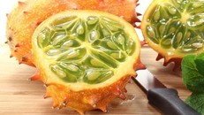 Nhiều người ăn thử cho biết dưa chuột khá nhiều ruột và hạt, cùi mỏng, ăn không quá khác so với dưa chuột của Việt Nam 