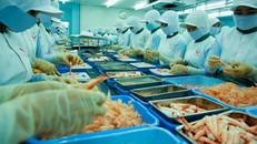 Sửa lại để xuất tăng tuổi hưu, tăng ca, nghỉ 'đèn đỏ'