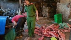 Hơn 2 tấn thịt bê, bò không rõ nguồn gốc bị phát hiện.