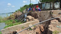 Lở sâu trên Sông Tiền, nhà cửa chực chờ bị nuốt trọn