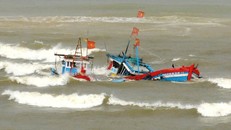 Tàu cá Bình Định bị tàu nước ngoài đâm chìm, một người tử vong