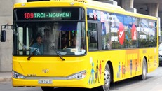 Số tiền quảng cáo thu được trên 2.000 xe buýt tại TP HCM khoảng hơn 113 tỷ đồng mỗi năm. 
