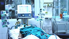 Nam thanh niên tử vong nghi do nhiễm liên cầu lợn