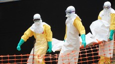 Đại dịch Ebola tái bùng phát