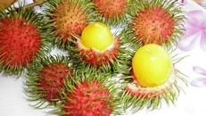 Vị chua ngọt lạ miệng, chôm chôm rừng được các chị em thích thú