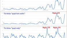 Tìm kiếm các hàng điện lạnh, điện gia dụng làm mát tăng đột biến các ngày cuối tuần.