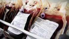 Lượng người hiến máu vào mùa hè giảm mạnh là nguyên nhân gây cạn kiệt nguồn máu dự trữ