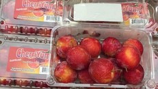 Dù có giá khá đắt đỏ nhưng các loại mận nhập khẩu vẫn cực kỳ hút khách