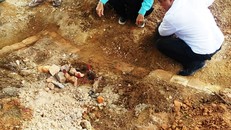 Con cháu Nguyễn Phước Tộc sau khi tìm thấy huyệt mộ này kèm tấm bia chữ Hán có nguyện vọng muốn giữ lại để tôn tạo, nhưng chính quyền chỉ đạo cho di dời.