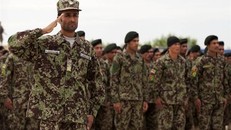 Quân đội Afghanistan mặc đồ ngụy trang trong rừng. Ảnh: NBC News.