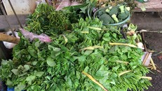 Rau mồng tơi tăng gần gấp 3 lần