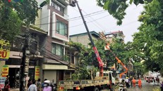 Khắc phục sau giông lốc.