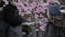 Fox muốn War for the Planet of the Apes giành được nhiều đề cử Oscar hơn so với hai tập trước của loạt phim tái khởi động thương hiệu Hành tinh khỉ. Ảnh: Fox.