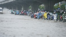 Thời tiết ngày 9/7: Bắc Bộ có mưa rào và dông diện rộng