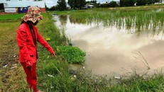 Vụ 2 bé trai chết dưới ruộng lúa: Hé lộ nhiều tình tiết thương tâm