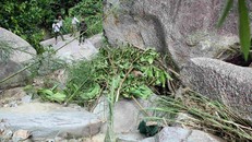 Nghệ An: Phát hiện xác một phụ nữ khỏa thân trong hốc đá