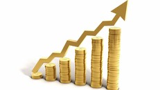 Giá vàng ngày 17/8: Vàng đảo chiều, phục hồi đúng như dự đoán