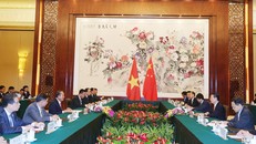 Phó Thủ tướng Trương Hòa Bình gặp gỡ Phó Thủ tướng Trung Quốc