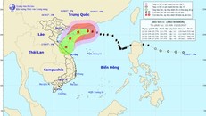 Bão số 11 nhanh chóng suy yếu thành áp thấp nhiệt đới