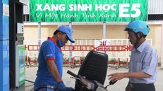 Các doanh nghiệp dần quay lưng với xăng E5 