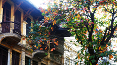 Thời tiết ngày 23/10: Bắc Bộ nhiều mây, Nam Bộ có mưa dông