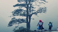 Bắc Bộ ngày ấm đêm lạnh, Nam Bộ có mưa rào và dông