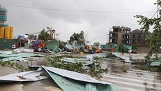  Nhiều mái tôn bị gió bão cuốn bay trên đường. Ảnh: Báo Khánh Hòa