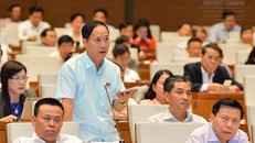 Ông Nguyễn Mai Bộ phát biểu. Ảnh: Quốc hội