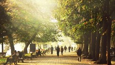 Không khí lạnh suy yếu, nền nhiệt Bắc Bộ tăng trên 21 độ