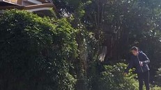 Rãnh nước nơi anh Liêm nằm bất động. Ảnh: Vietnamnet