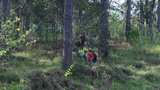 Hiện trường vụ việc. Ảnh: Thanh Niên