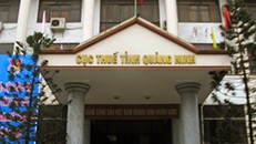 Cục thuế tỉnh Quảng Ninh.