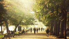 Dự báo thời tiết ngày 9/4: Bắc Bộ chỉ còn rét vào sáng sớm, Nam Bộ có mưa vào chiều tối