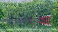 Cảnh báo khu vực Đông Bắc Bộ có mưa rào và dông trong ngày