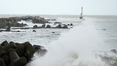 Nhật Bản: Sơ tán khẩn cấp 26.000 người trước khi bão lớn đổ bộ