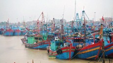 Tàu thuyền neo đậu tránh trú bão tại Huyện Tĩnh Gia. Ảnh: Báo Thanh Hóa