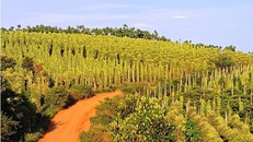 Một góc xã Nâm N'jiang. Ảnh: Infonet 