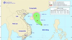 Cập nhật đường đi của vùng áp thấp trên biển Đông