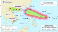 Bão số 5 đổ bộ vào chiều tối, gây mưa cho các tỉnh ven biển Bắc Bộ