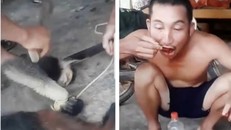 Hình ảnh cắt ra từ clip ghi lại vụ việc. Ảnh: VOV