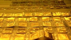 Giá vàng ngày 28/11: Thị trường chịu ảnh hưởng từ đà tăng của USD