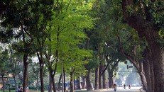 Bắc Bộ trời quang mây hửng nắng, Trung Bộ tiếp tục có mưa dông